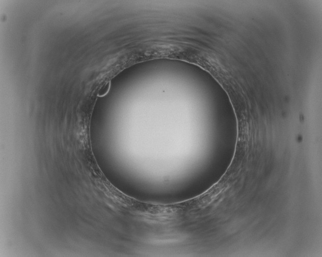 X0000066521109200603241329