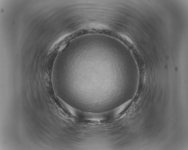 X0000066521112200603241329