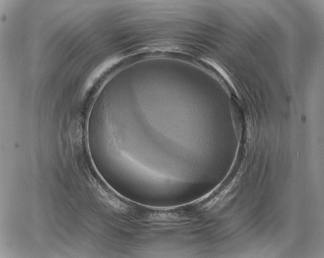 X0000066521115200603241329