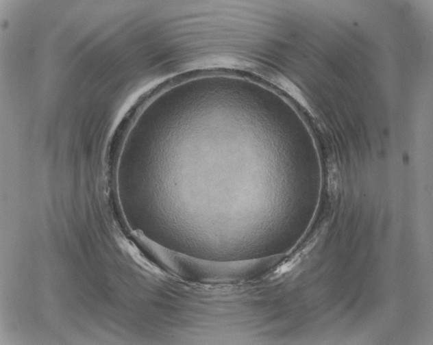 X0000066521116200603241329