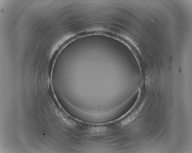 X0000066521117200603241329