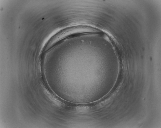 X0000066521118200603241330