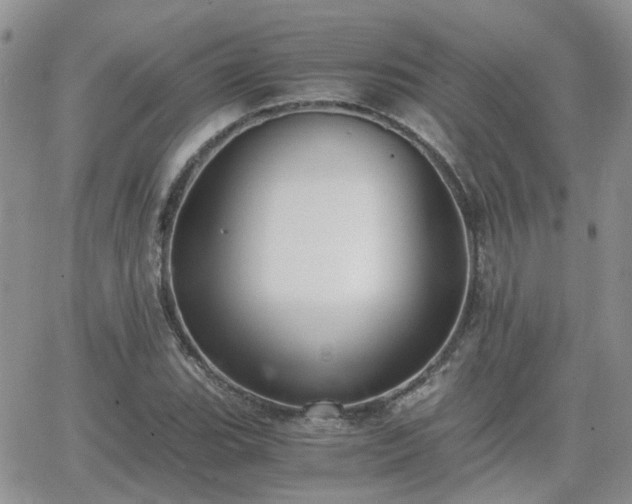 X0000066521119200603241330