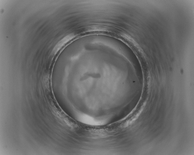 X0000066521121200603241330