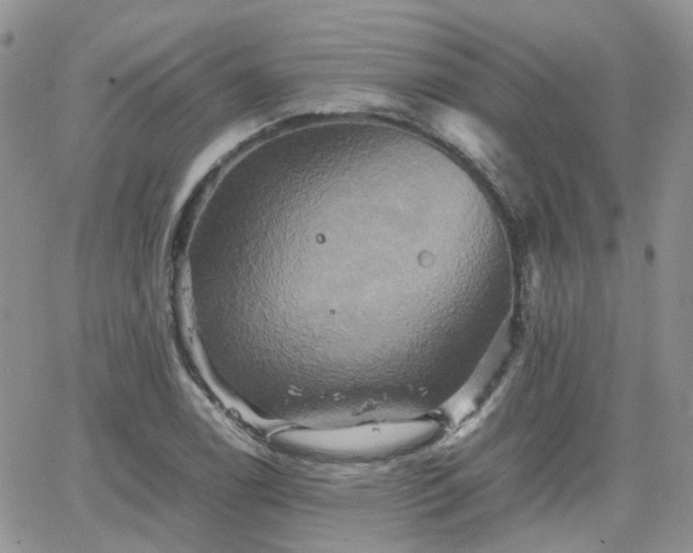 X0000066521122200603241330