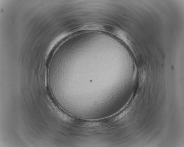 X0000066521123200603241330