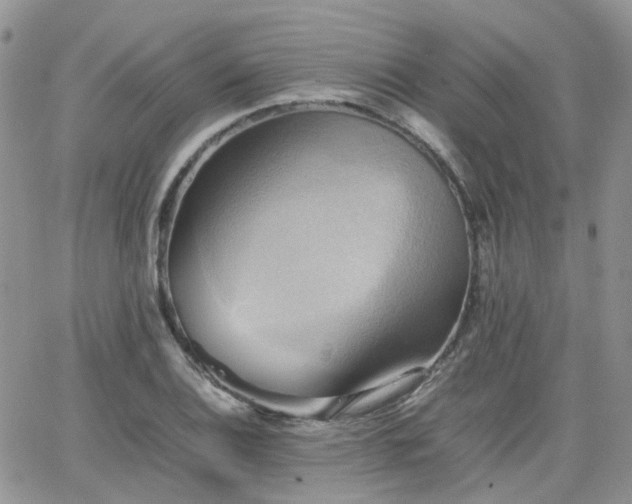 X0000066521124200603241330