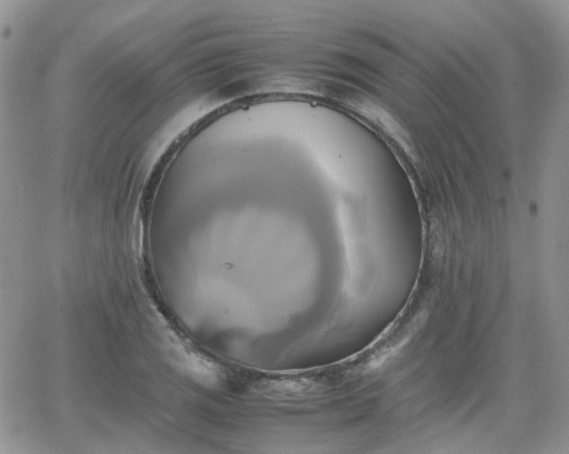 X0000066521125200603241330