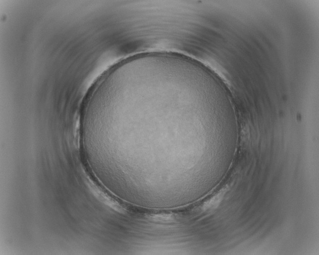 X0000066521126200603241330