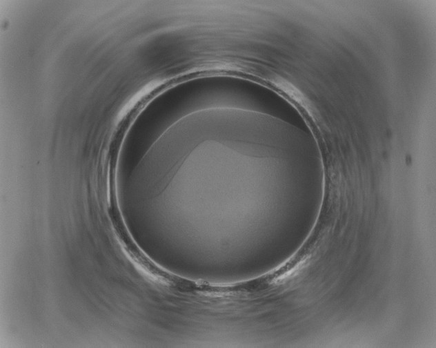 X0000066521127200603241330