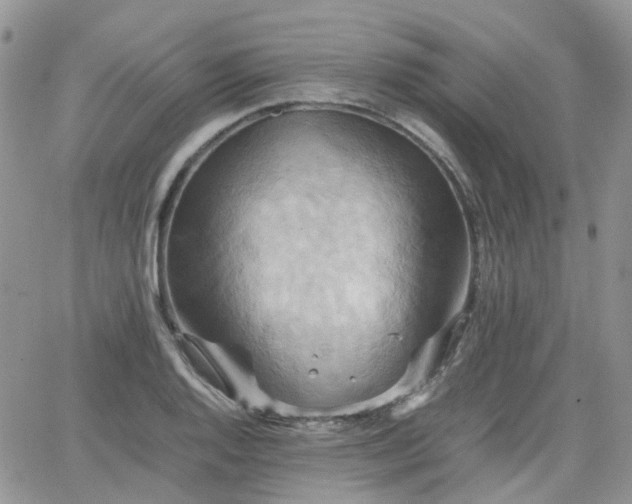 X0000066521128200603241330