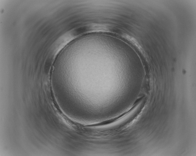 X0000066521129200603241330