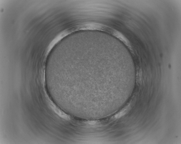 X0000066521130200603241330