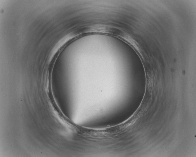 X0000066521131200603241330