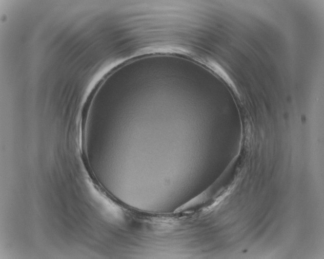 X0000066521132200603241330