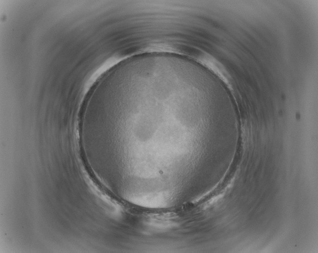 X0000066521133200603241330