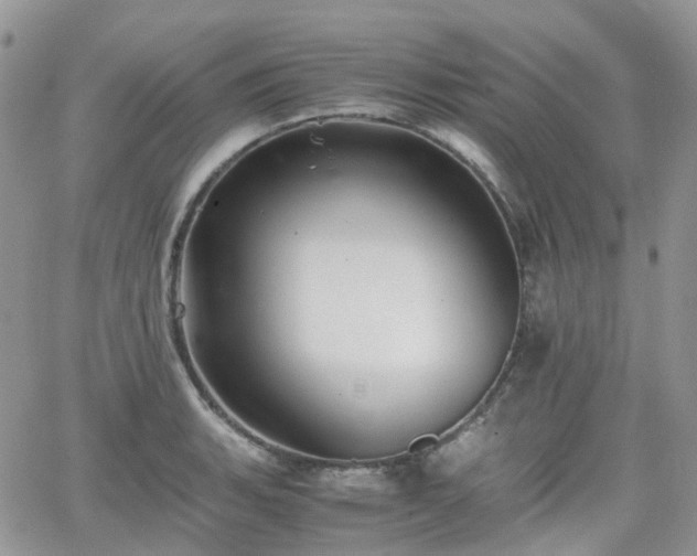 X0000066521135200603241330