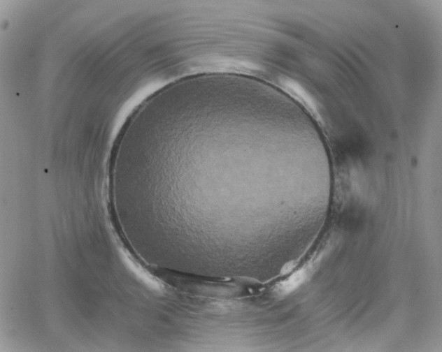 X0000066521136200603241330