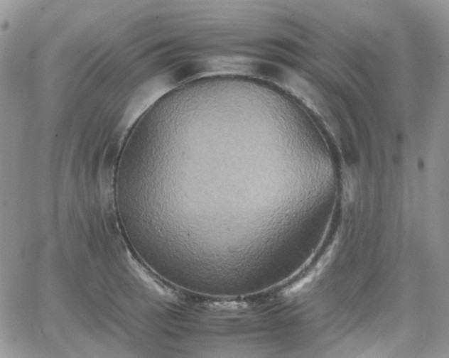 X0000066521137200603241330