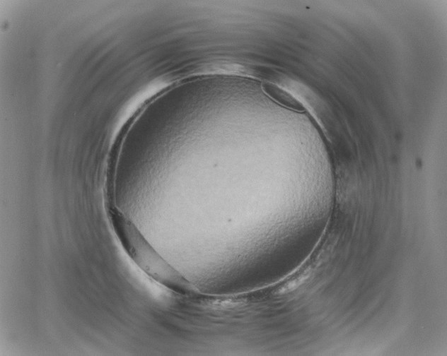 X0000066521139200603241330