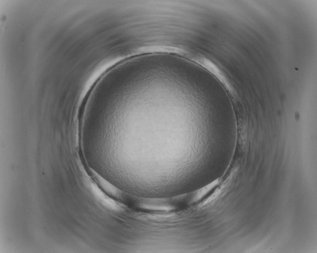 X0000066521140200603241330