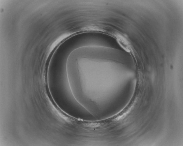 X0000066521141200603241330