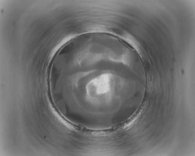 X0000066521142200603241330