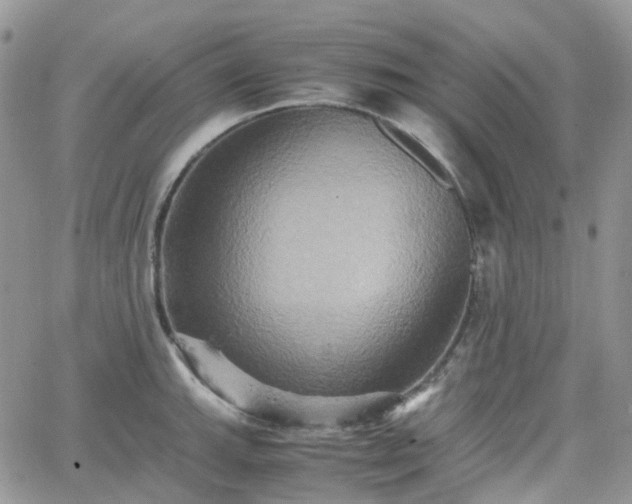 X0000066521143200603241330