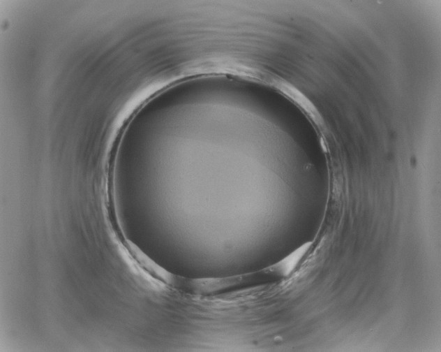 X0000066521144200603241330