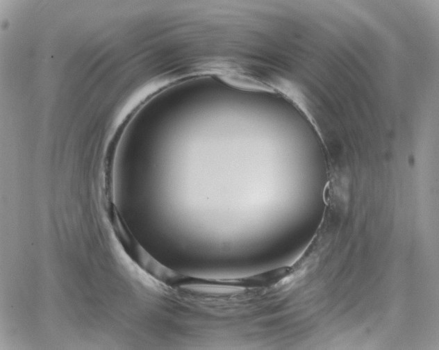 X0000066521147200603241330