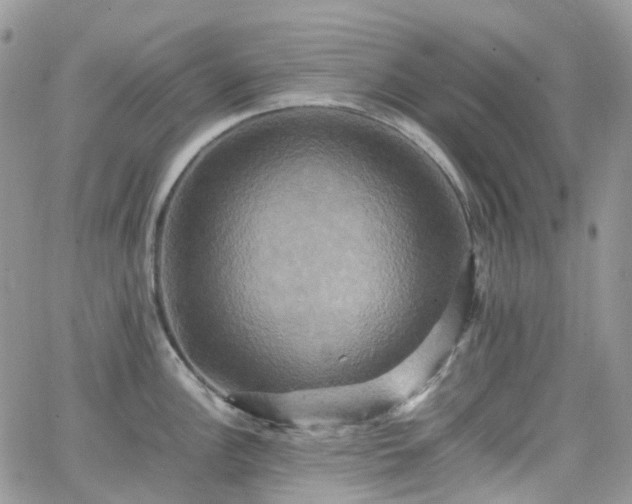 X0000066521148200603241330