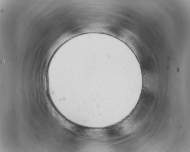 X0000066521150200603241330