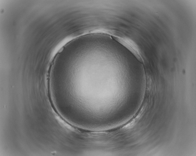 X0000066521151200603241330