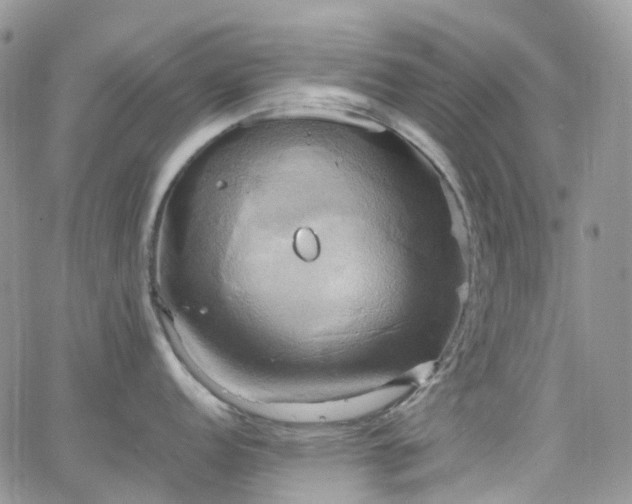 X0000066521152200603241330