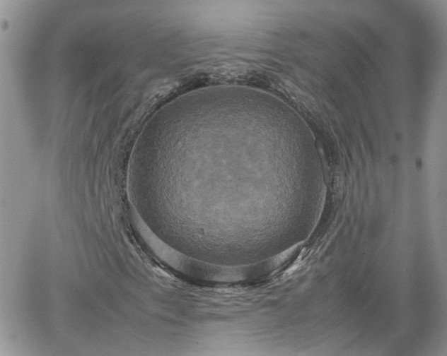 X0000066521153200603241329