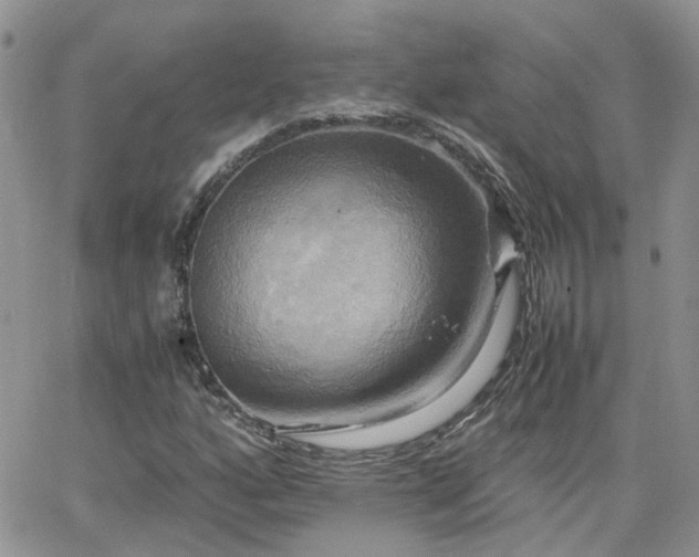 X0000066521160200603241329