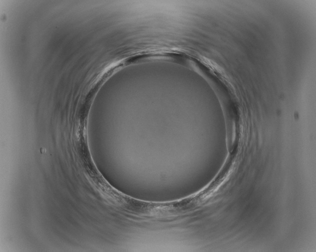 X0000066521161200603241329