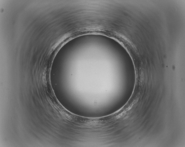 X0000066521162200603241329