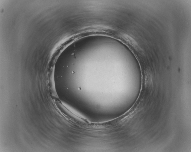 X0000066521164200603241329