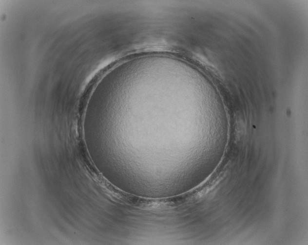 X0000066521166200603241329