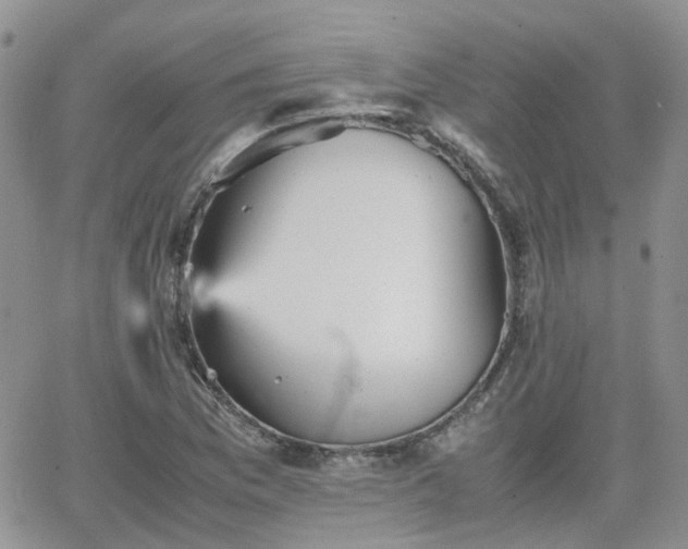 X0000066521169200603241329