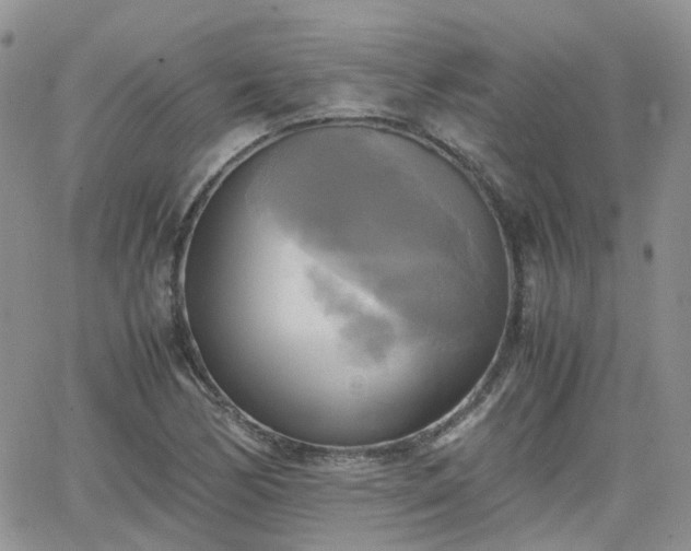 X0000066521170200603241329