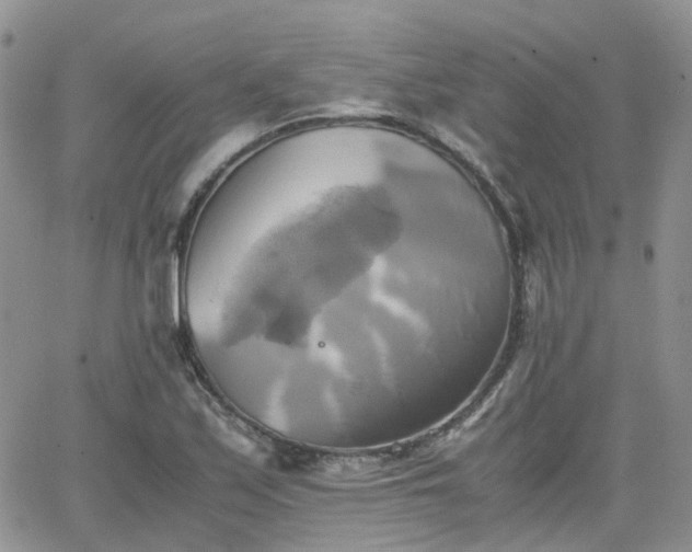 X0000066521171200603241329