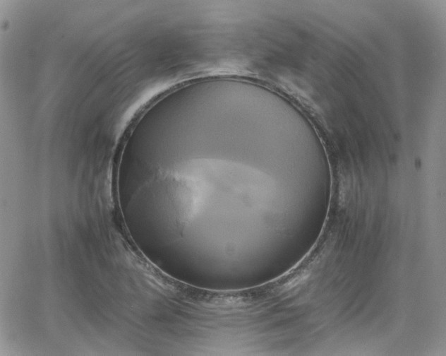 X0000066521174200603241329