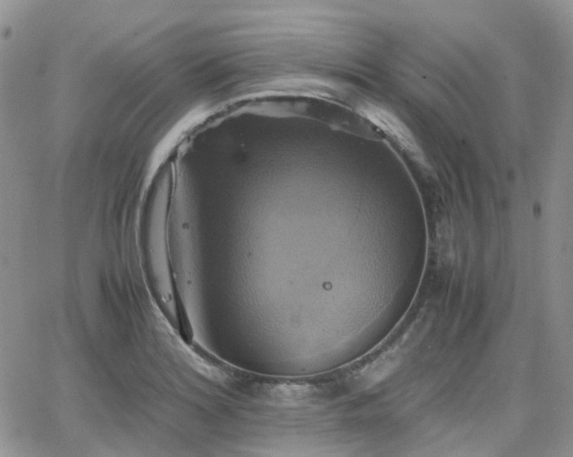 X0000066521180200603241329