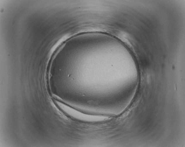 X0000066521181200603241329