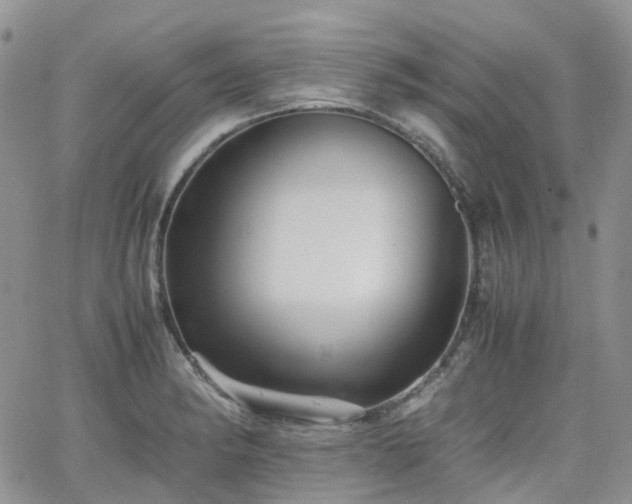 X0000066521182200603241329