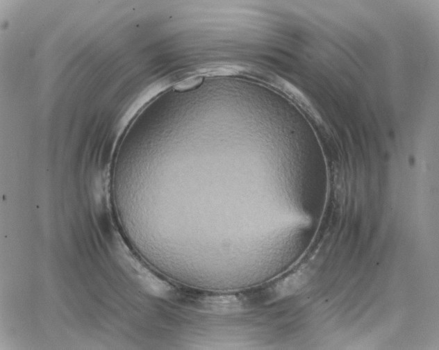 X0000066521186200603241329