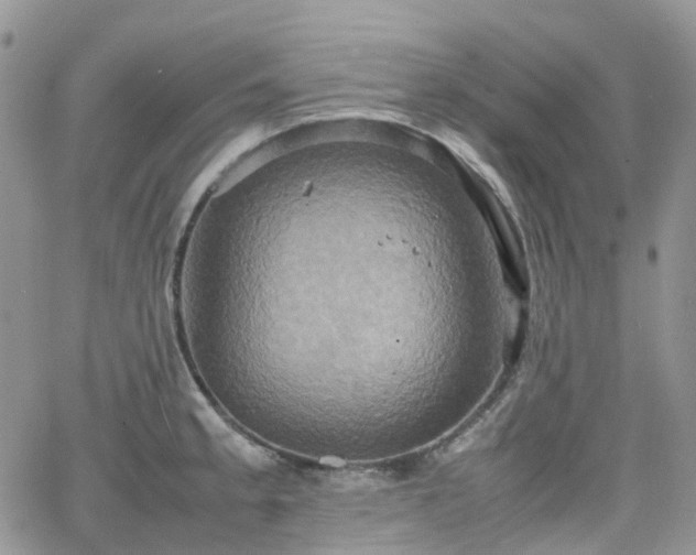 X0000066521189200603241329