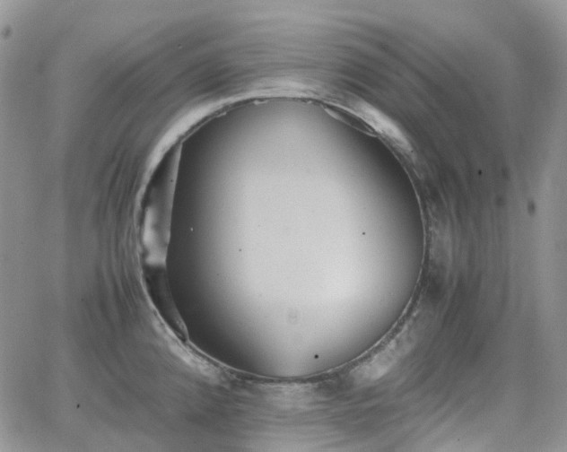 X0000066521192200603241329